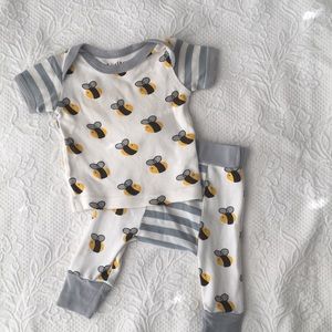 cat & dogma Bumblebee Set 🐝